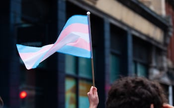 The transgender pride flag: a symbol for the trans community